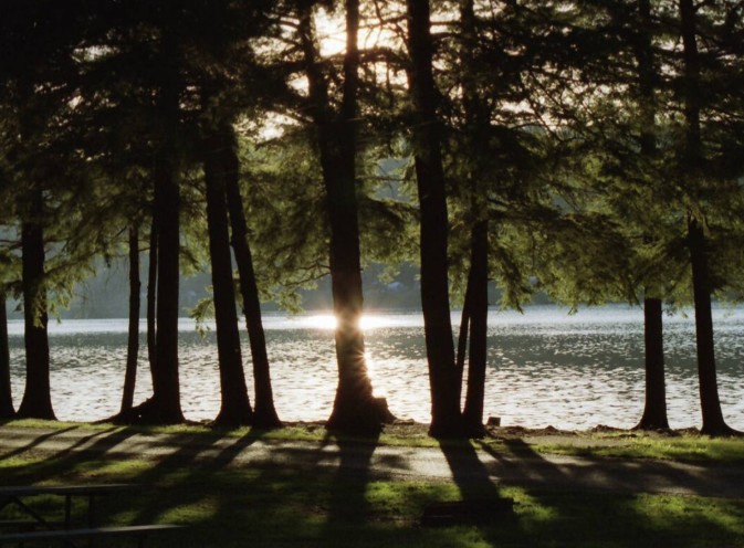 Nature-Based Therapy