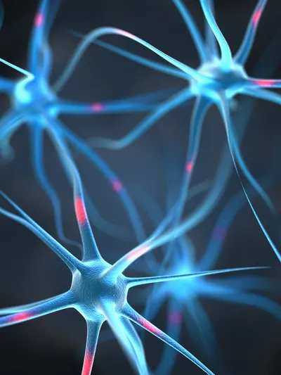 Mind and Body Therapies is an integrative approach